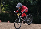 921H7222 bmx-tc-11-9-21